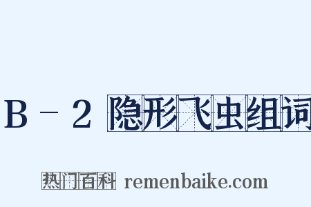 B-2隐形飞虫组词是什么意思的图片